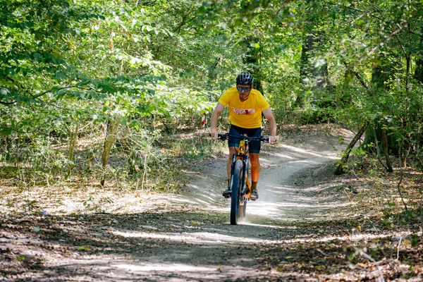 Fotografie de la ȘOPA Forest Race 2026