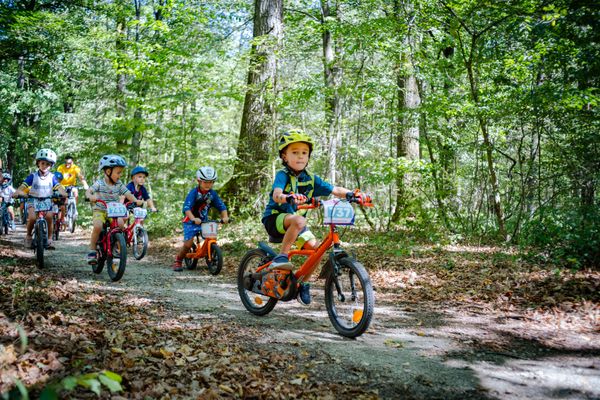 Fotografie de la ȘOPA Forest Race 2026