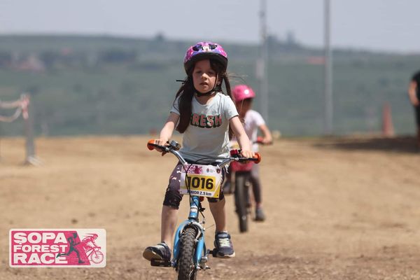Fotografie de la ȘOPA Forest Race 2022